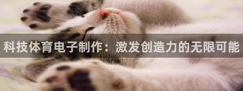 科技体育电子制作：激发创造力的无限可能