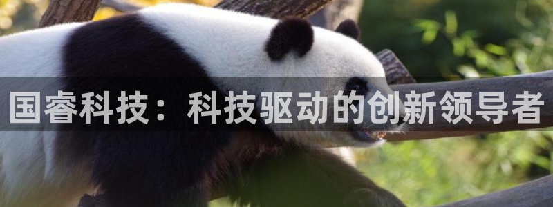 国睿科技：科技驱动的创新领导者